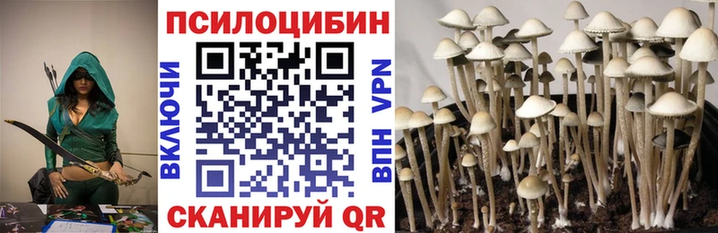 Псилоцибиновые грибы MAGIC MUSHROOMS  где купить   нарко площадка состав  Заозёрск  omg ONION 
